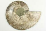 5.1" Cut & Polished Ammonite Fossil (Half) - Madagascar - #200078-1